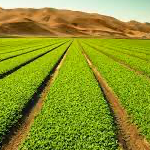 Farm Trader Admin
