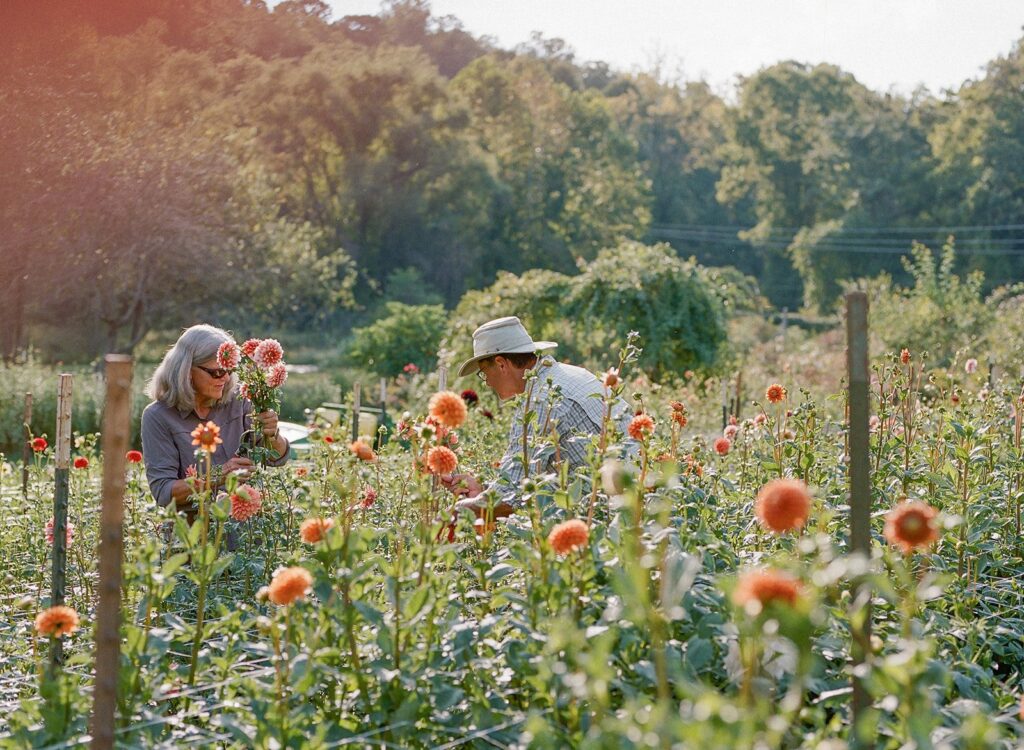 Farming In Spring Preparing for Spring Planting: Tips for a Successful Season - Farm Trader