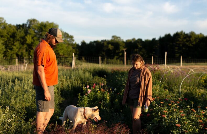 regional planting guide for the Northeast