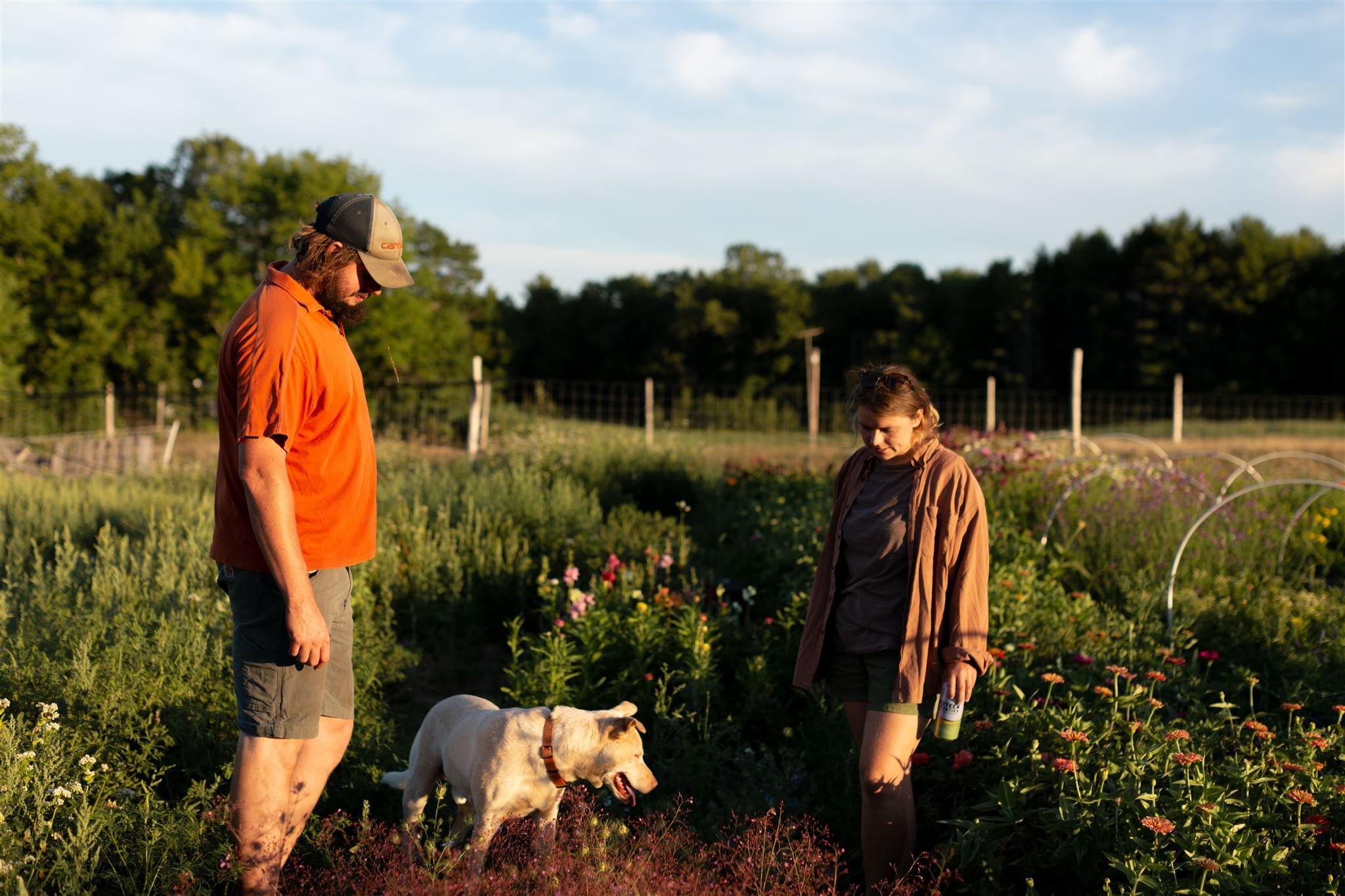 regional planting guide for the Northeast