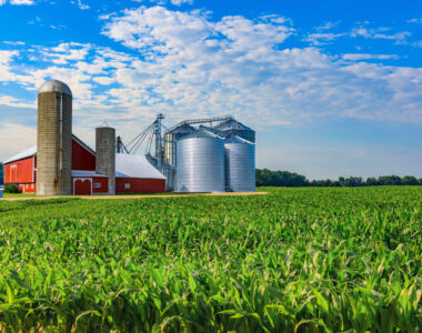 regional planting guide for the Midwest
