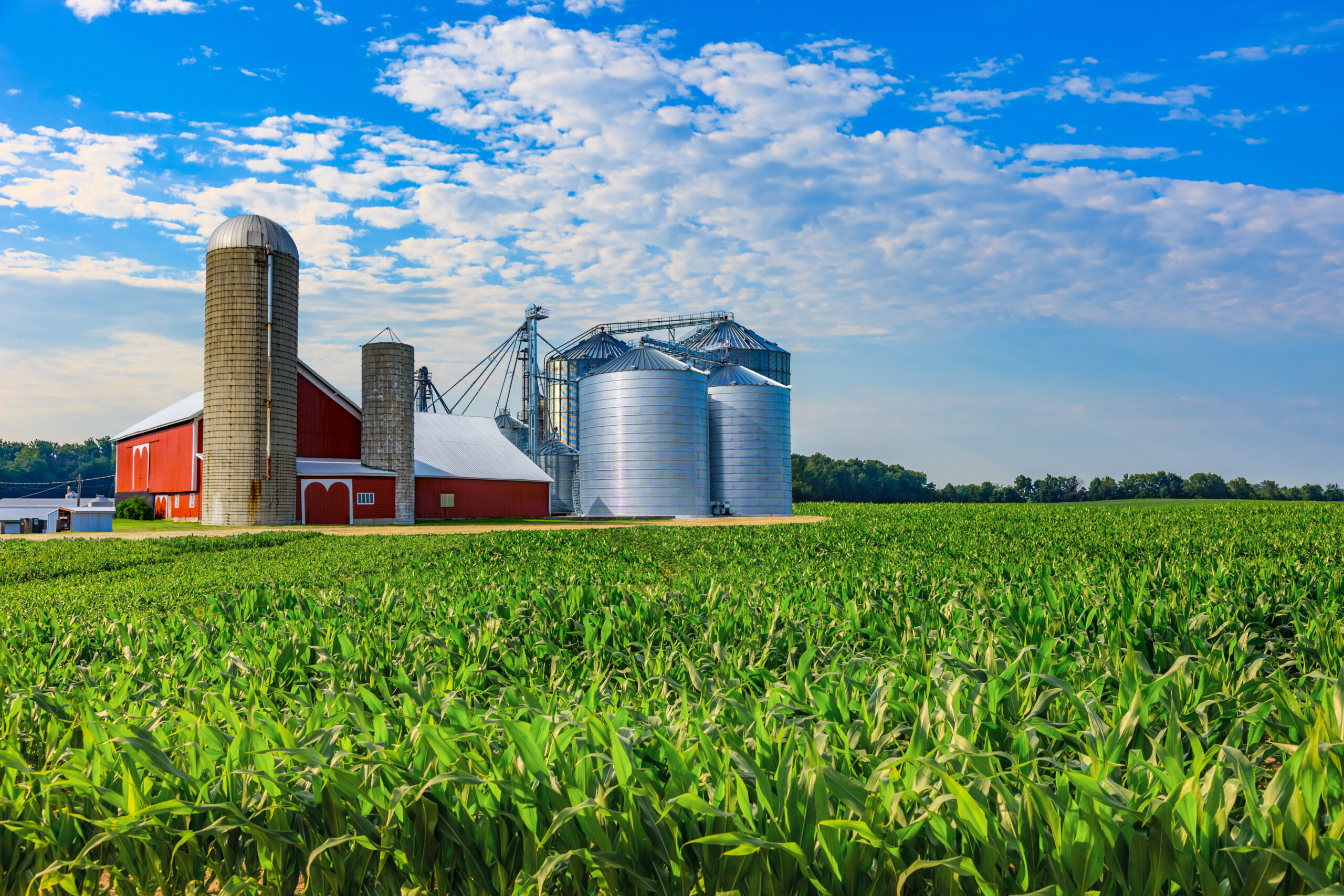regional planting guide for the Midwest