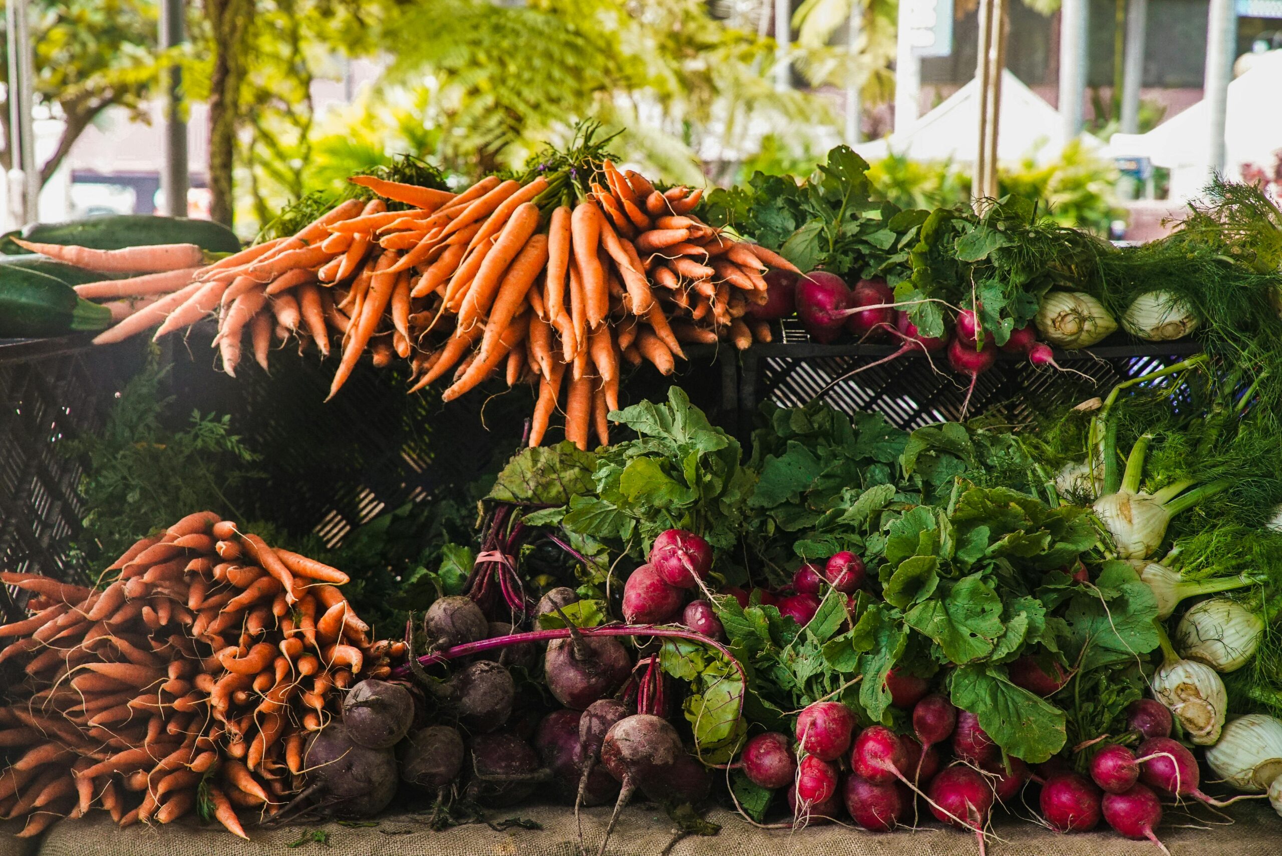 How to Eat Local Every Day