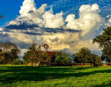 Regional Planting Guide for the west