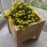 Cedar Planter Box