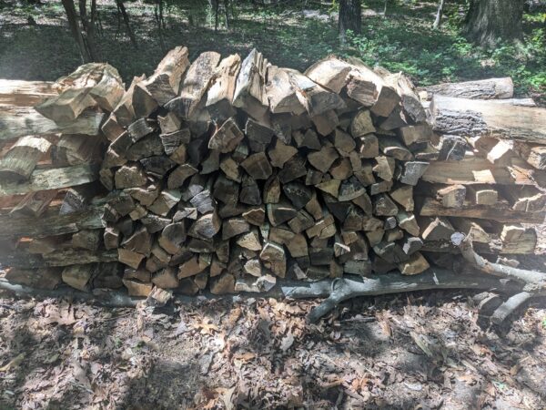 Oak firewood