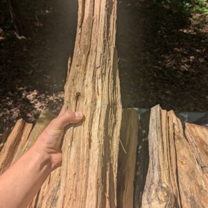 Oak firewood