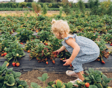 Agritourism Activities