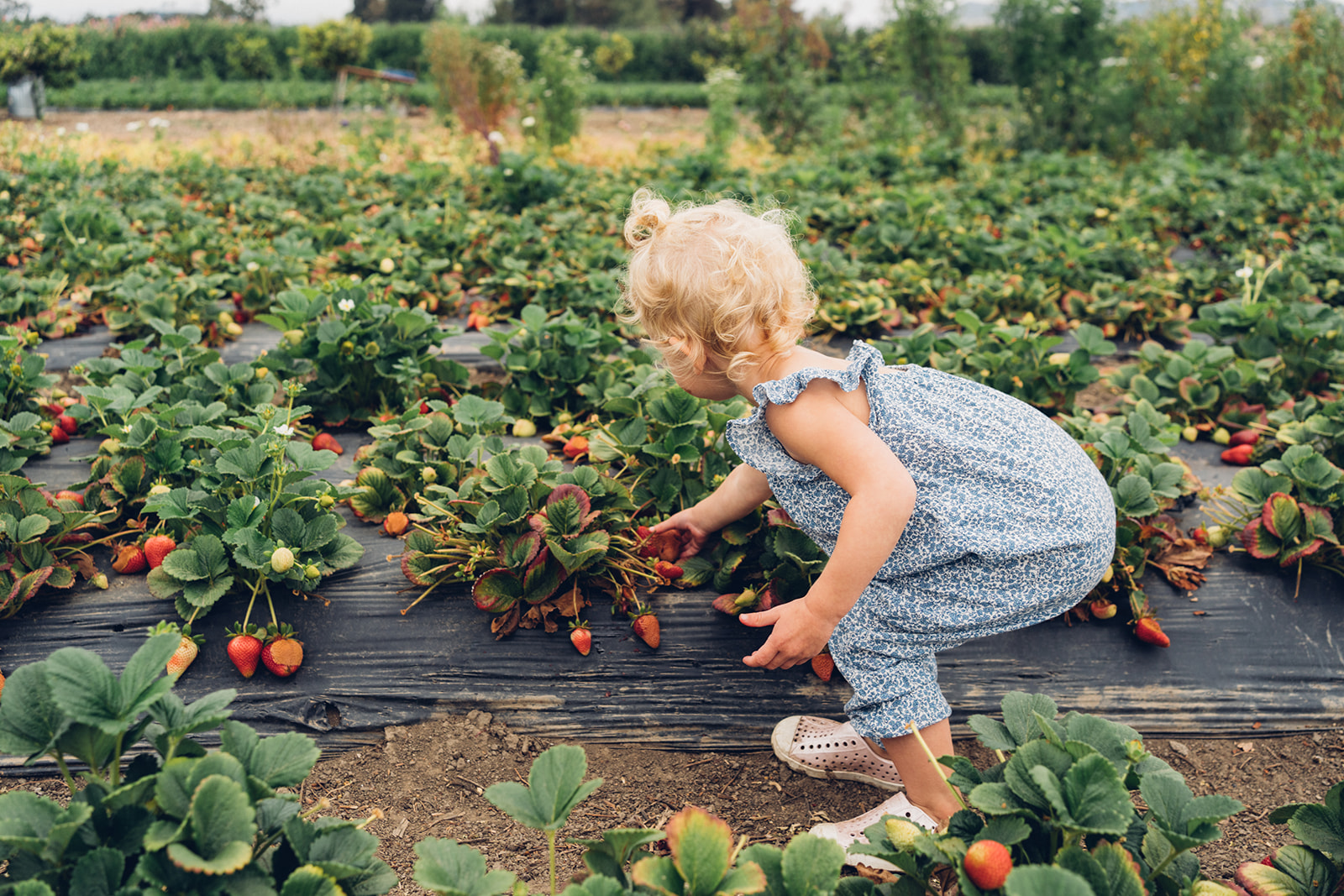 Agritourism Activities