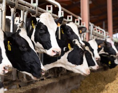 Farm News Roundup