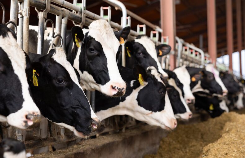 Farm News Roundup