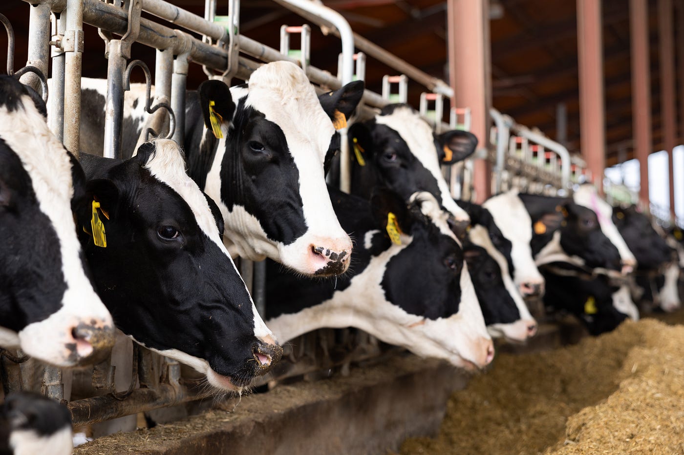 Farm News Roundup