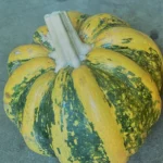 Mexican Sweet Pumpkin Heirloom Seeds Very Rare 10 Non GMO Seeds