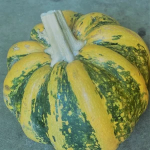 Mexican Sweet Pumpkin Heirloom Seeds Very Rare 10 Non GMO Seeds