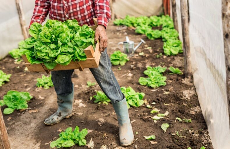 Support small farms