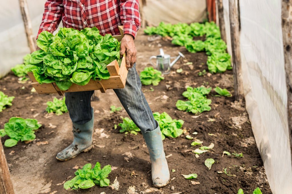 Support small farms