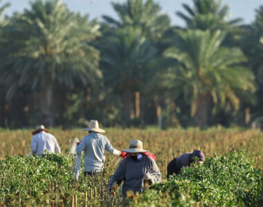 immigration relief for farmers