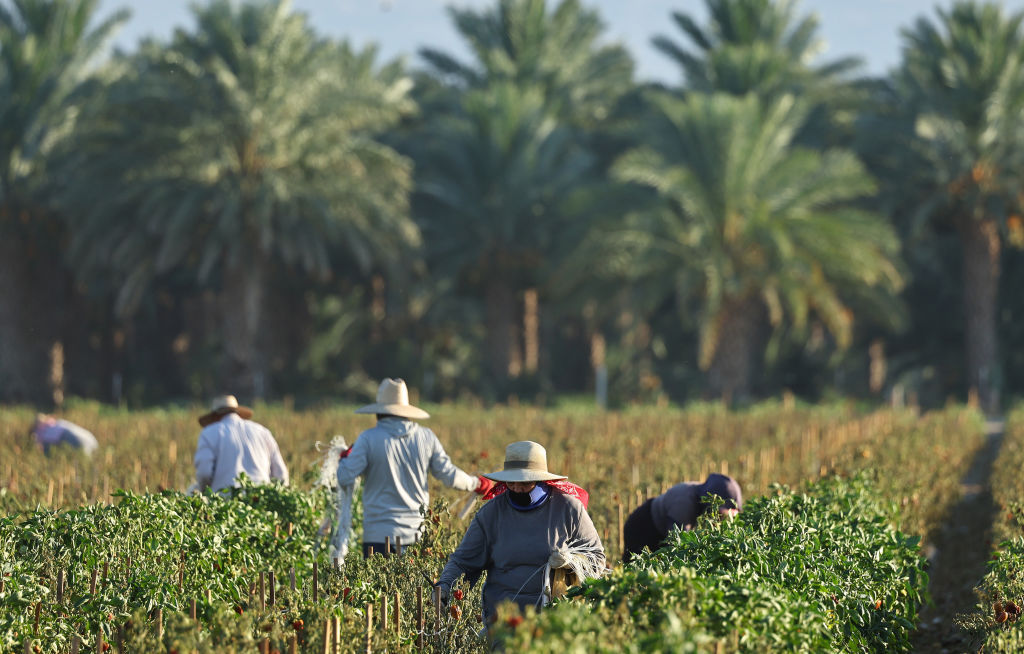 immigration relief for farmers