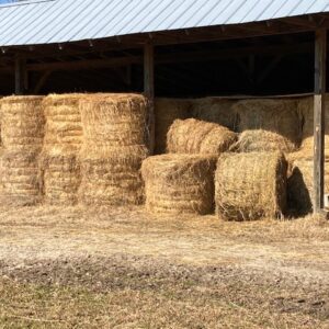 Hay for Sale