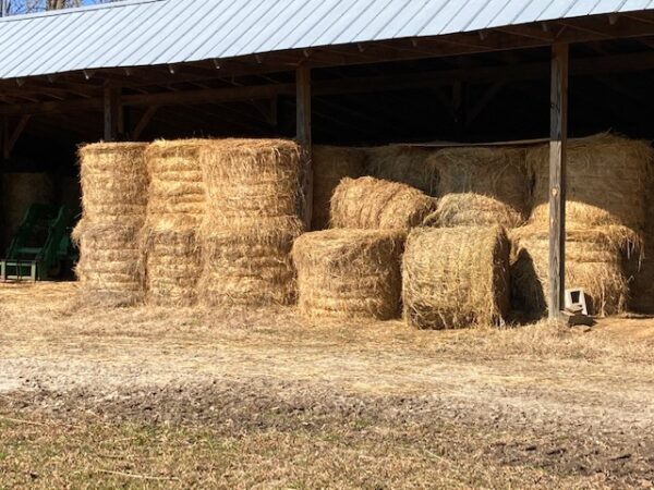 Hay for Sale