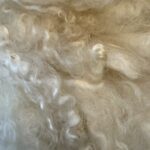 Raw, Washed Mohair