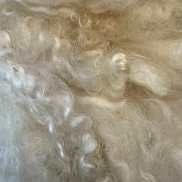 Raw, Washed Mohair