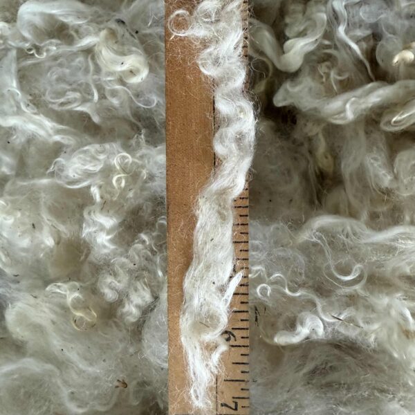 Raw, Washed Mohair