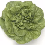 Lettuce