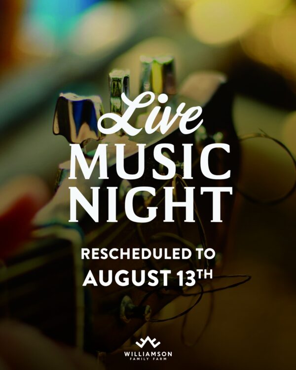 Live Music Night