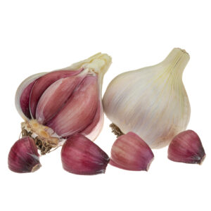 Culinary Garlic - Certified Organic - Hardneck