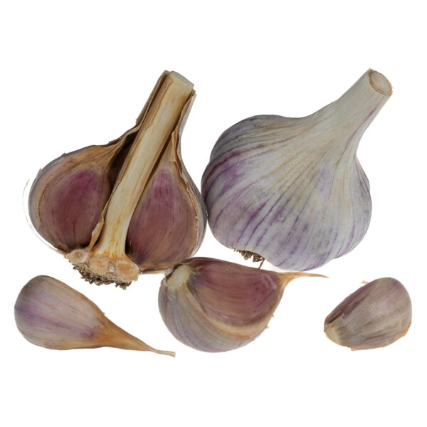 Culinary Garlic - Certified Organic - Hardneck