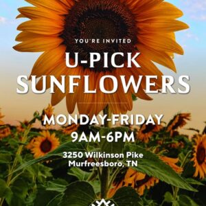 U-Pick Sunflowers