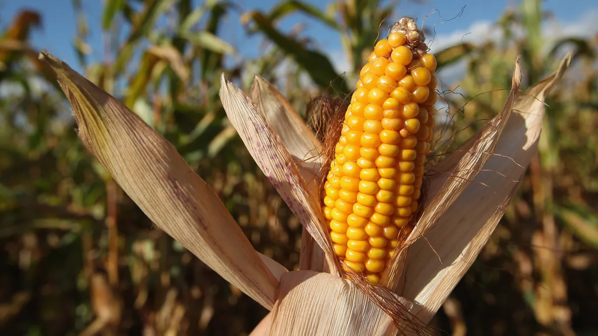 U.S. crops mid-July