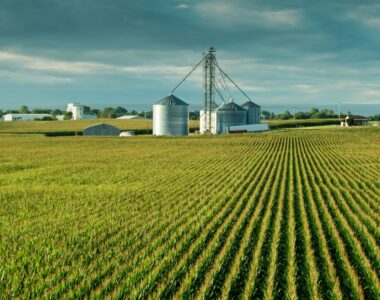 farm bankruptcies in 2025