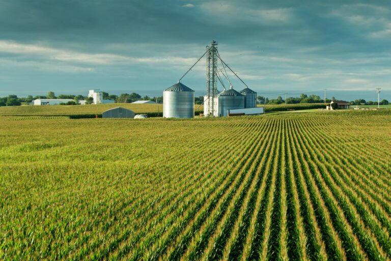 Farm Bankruptcies in 2025 Already Surpass Last Year’s Total Farm Trader