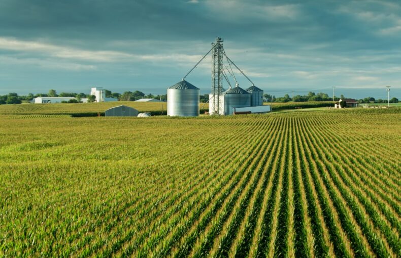 farm bankruptcies in 2025