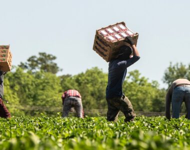 farmworker policy change