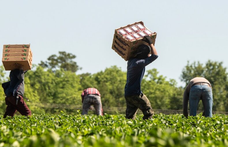 farmworker policy change
