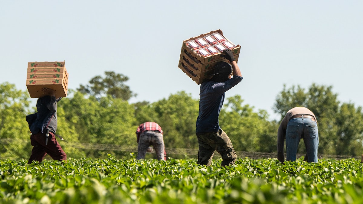 farmworker policy change