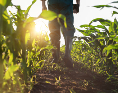 understanding where food comes from