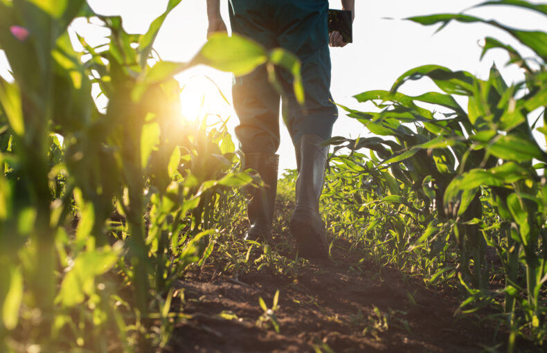 understanding where food comes from