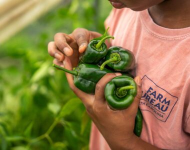 Slashing agriculture funding
