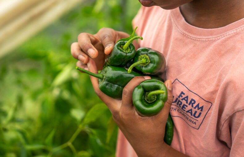 Slashing agriculture funding