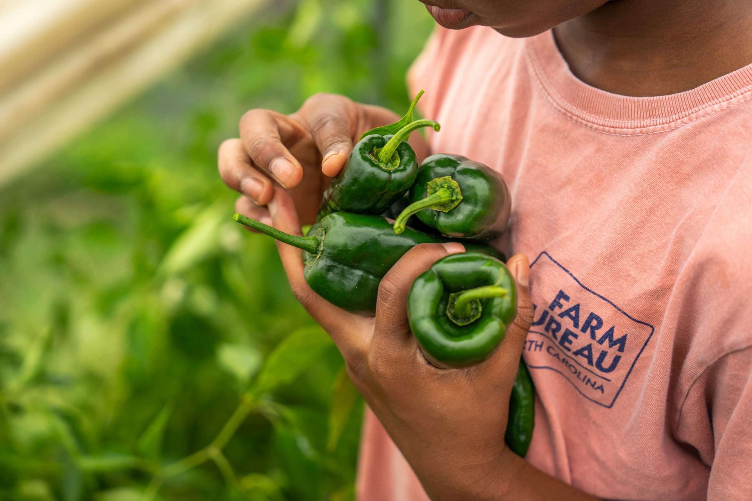 Slashing agriculture funding