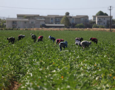 Trump immigrant farm worker relief