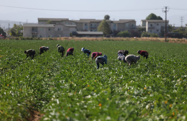 Trump immigrant farm worker relief