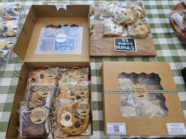 Bakery Treat Box
