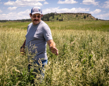 Colorado crop conditions