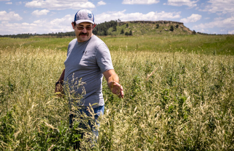 Colorado crop conditions