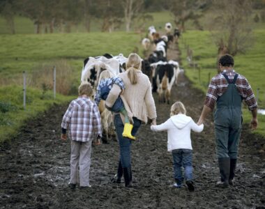 Why Farm Trader